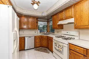163 Bregman Ave, New Hyde Park, NY 11040 - Photo 10