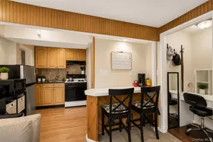 105 Strauss Ave, Selden, NY 11784 - Photo 18