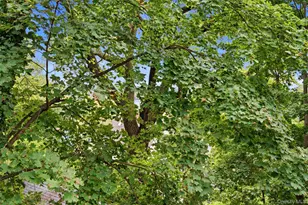 35 Ward Ave, Northport, NY 11768 - Photo 26