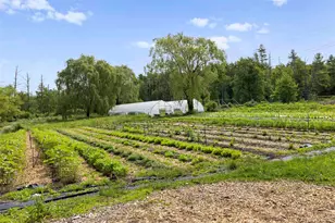 1389 Route 212, Saugerties, NY 12477 - Photo 48