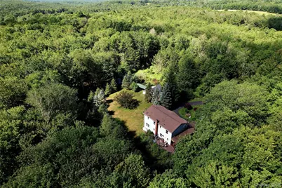 239 Burnt Ridge Road, Liberty, NY 12754 - Photo 6