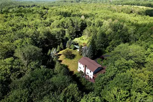 239 Burnt Ridge Rd, Liberty, NY 12754 - Photo 6