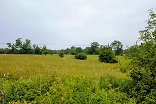 196 Gabriel Rd, Cochecton Center, NY 12726 - Photo 4
