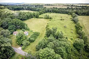 196 Gabriel Rd, Cochecton Center, NY 12726 - Photo 6