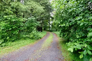 21 Elmwood Rd, South Salem, NY 10590 - Photo 24
