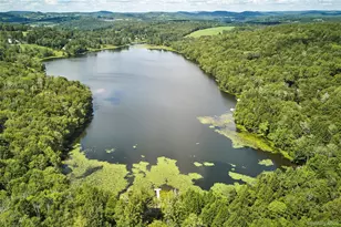 53 Land and Lks Trl, Kenoza Lake, NY 12750 - Photo 38