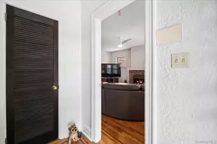 1241 Rhinelander Ave, Bronx, NY 10461 - Photo 14