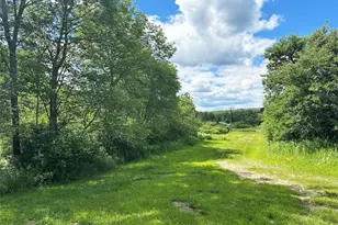 818 Methol Rd, Roscoe, NY 12776 - Photo 18
