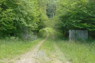 70 Bonnie Brook Rd, Roscoe, NY 12776 - Photo 30