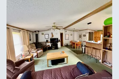 70 Bonnie Brook Road, Roscoe, NY 12776 - Photo 2