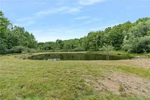 1667 Shandelee Rd, Youngsville, NY 12791 - Photo 32