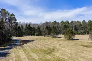 58 Deer Meadow Rd, Bethel, NY 12786 - Photo 36