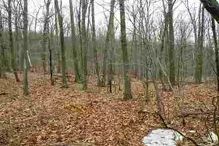 618 Bean River Rd, Millerton, NY 12546 - Photo 22