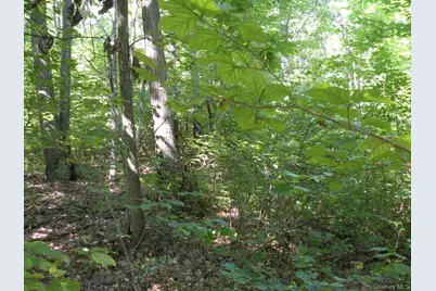 618 Bean River Road, Millerton, NY 12546 - Photo 24