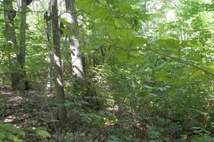 618 Bean River Rd, Millerton, NY 12546 - Photo 24