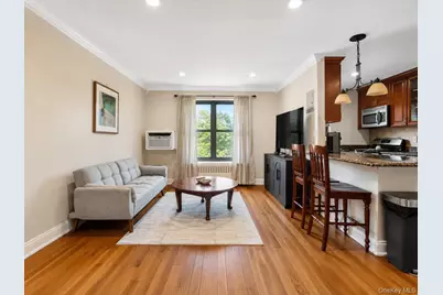 6 W Mill Drive #3B, Great Neck, NY 11021 - Photo 4
