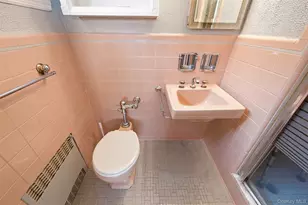 169 Landau Ave, Floral Park, NY 11001 - Photo 10