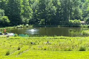 938 Woodland Valley Rd, Phoenicia, NY 12464 - Photo 6