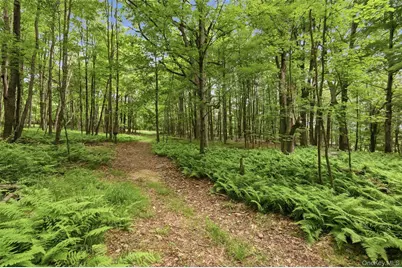 115 Cold Spring Road, Liberty, NY 12754 - Photo 24