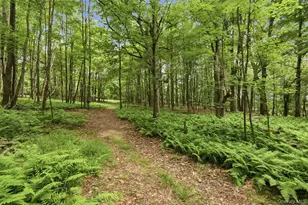 115 Cold Spring Rd, Liberty, NY 12754 - Photo 24