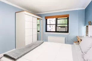 30 Grace Ave, Great Neck, NY 11021 - Photo 10