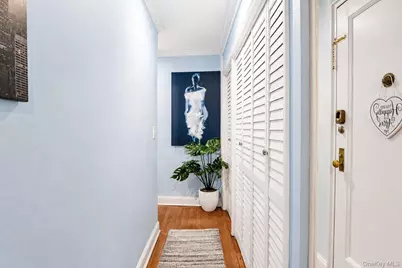 30 Grace Avenue #2F, Great Neck, NY 11021 - Photo 4
