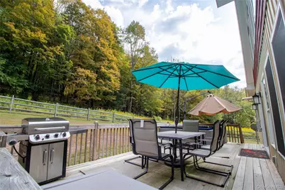 336 County (Hankins Rd) Road, Roscoe, NY 12776 - Photo 38