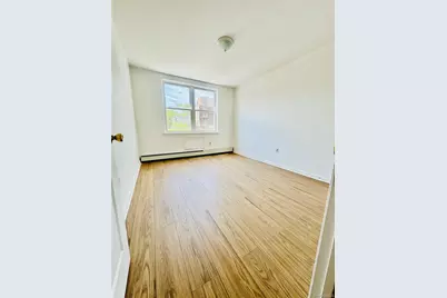 214 Mother Gaston Boulevard #3, Brooklyn, NY 11233 - Photo 6
