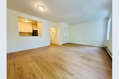 214 Mother Gaston Boulevard #3, Brooklyn, NY 11233 - Photo 2