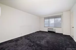 111 Cherry Valley, Garden City, NY 11530 - Photo 10
