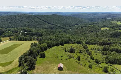 180 Henderson Road, Hankins, NY 12741 - Photo 4