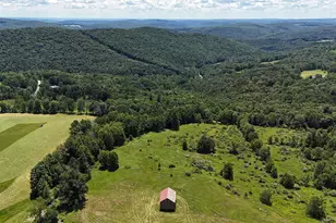 180 Henderson Rd, Hankins, NY 12741 - Photo 4