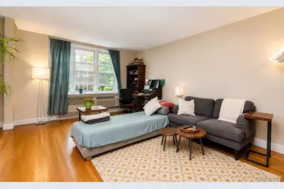400 E 17th Street #304, Brooklyn, NY 11226 - Photo 14