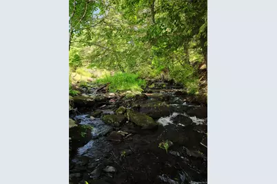 433 County Road 116, Cochecton Center, NY 12726 - Photo 32