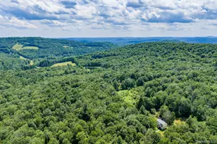 10 Hoffman Rd, Fremont Center, NY 12741 - Photo 42