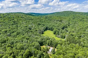 10 Hoffman Rd, Fremont Center, NY 12741 - Photo 40