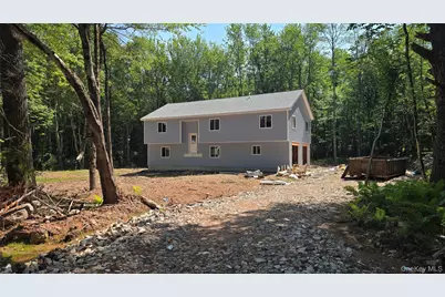 220 Rock Ridge Drive #3, Monticello, NY 12701 - Photo 1