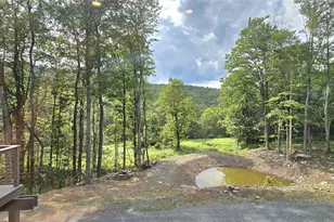 1211 Gulf Rd, Livingston Manor, NY 12724 - Photo 12