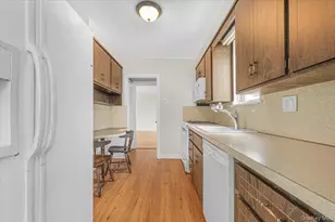 251-47 42nd Ave, Little Neck, NY 11363 - Photo 14