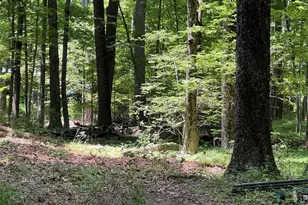 25 Hornbeck Ridge, Poughkeepsie, NY 12603 - Photo 6