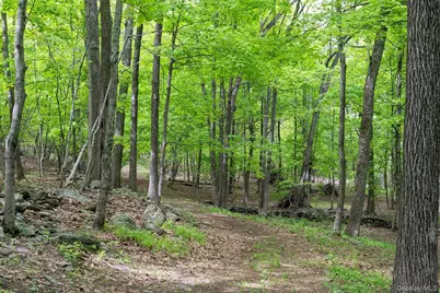17 Skytop Ridge, Rhinebeck, NY 12572 - Photo 40