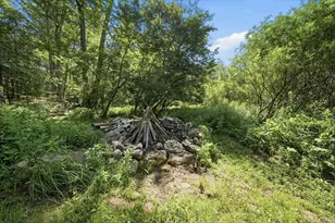 64 & 68 Mineral Springs Rd, Livingston Manor, NY 12758 - Photo 28