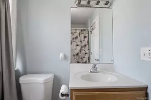 252 Saddle River Rd, Monsey, NY 10952 - Photo 22