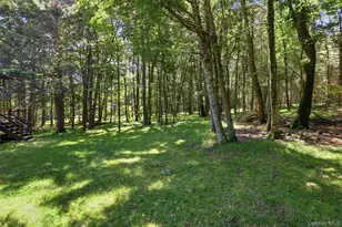 91 Airport Rd, Eldred, NY 12732 - Photo 42
