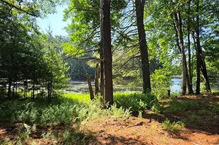 80 Beaver Brook Rd, Yulan, NY 12764 - Photo 20