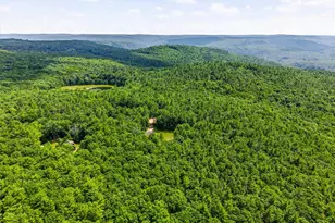 142 Split Rock Dr, Barryville, NY 12719 - Photo 10