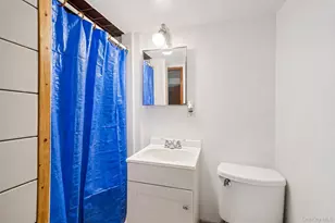 17 Maple St, Brentwood, NY 11717 - Photo 24