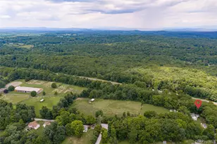 357 Pumpkin Ln, Clinton Corners, NY 12514 - Photo 4