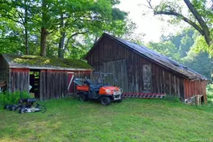 609 Grooville Rd, Livingston Manor, NY 12758 - Photo 38