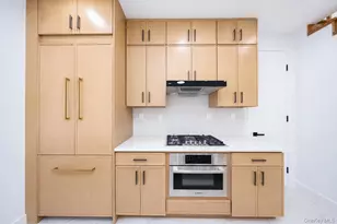 25 Goodwin Pl, Brooklyn, NY 11221 - Photo 26